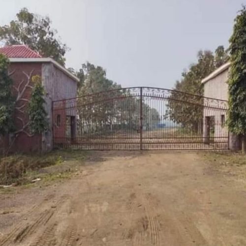 Entrance Gate - Bihta Project